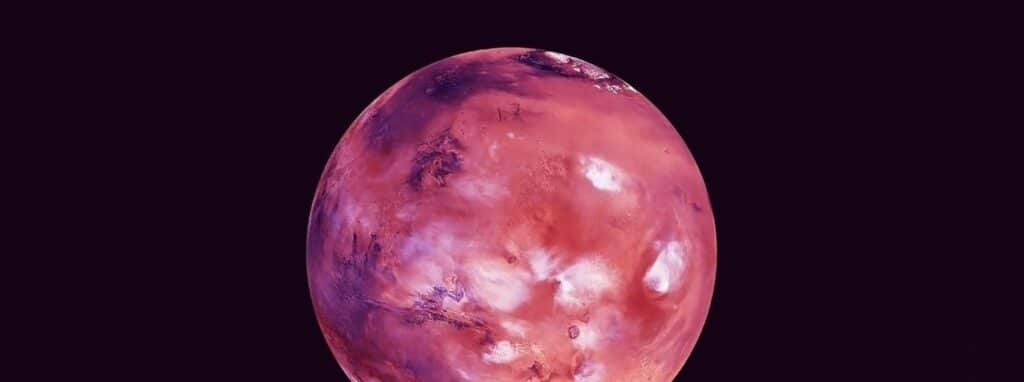 roze maan