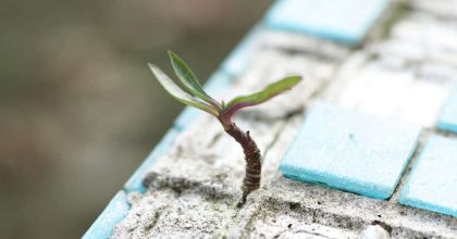 10 Tekenen dat je Spiritueel Ontwaakt