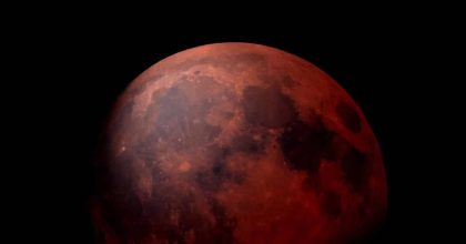 bloedmaan