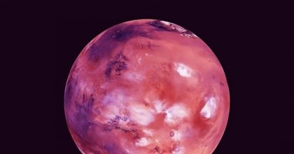 roze maan